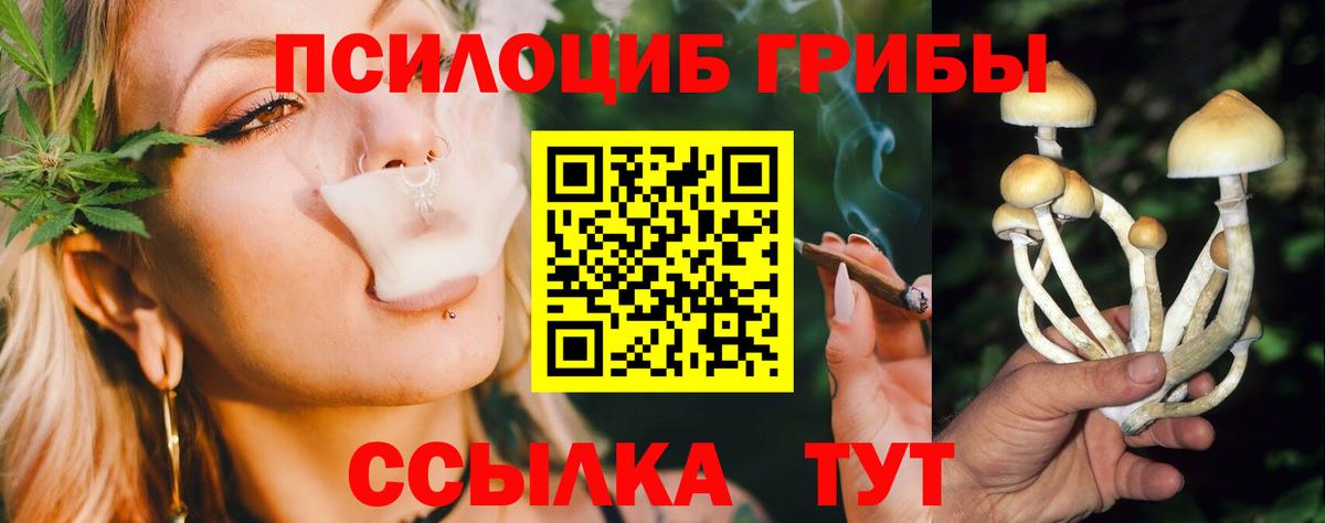 Галлюциногенные грибы мухоморы  где продают наркотики  Маркс  Вход с VPN 